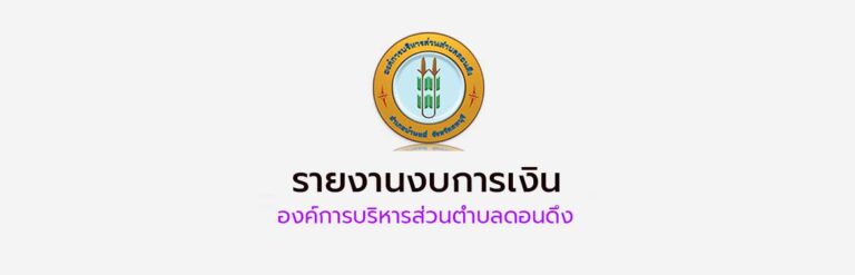 รายงานงบการเงิน ประจำปีงบประมาณ พ.ศ. 2568